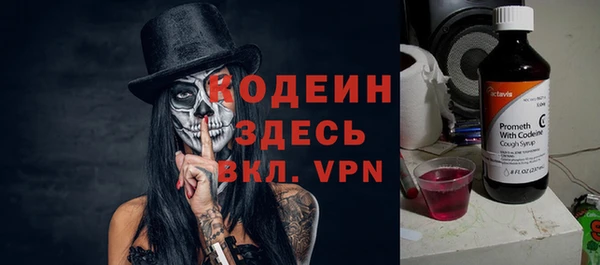 шишки Краснотурьинск
