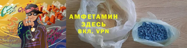 индика Корсаков