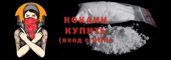 шишки Краснотурьинск