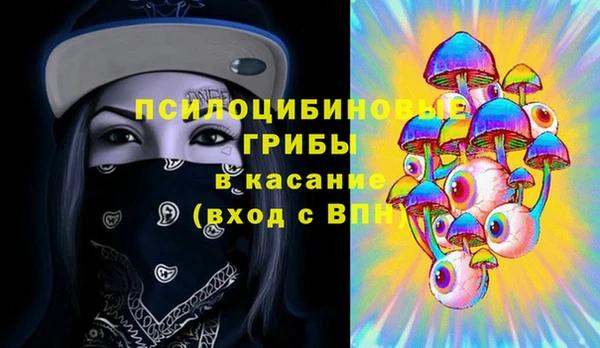 шишки Краснотурьинск