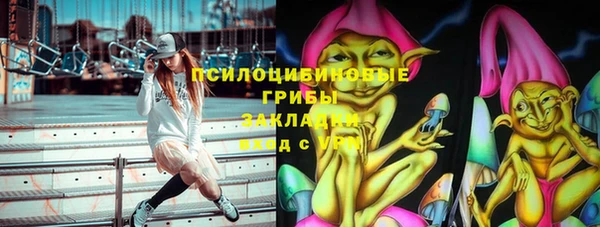 индика Корсаков