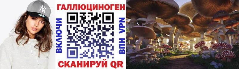 Псилоцибиновые грибы Magic Shrooms  Купить  Мичуринск 